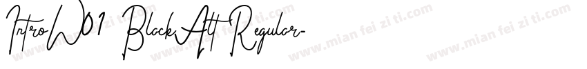 IntroW01 BlackAlt Regular字体转换